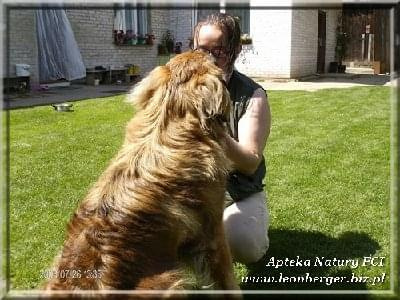 #leonberger #AptekaNatury