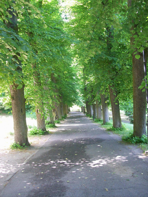 Gdansk - Orunia w parku