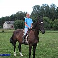 Lena #konie #koń #Lena