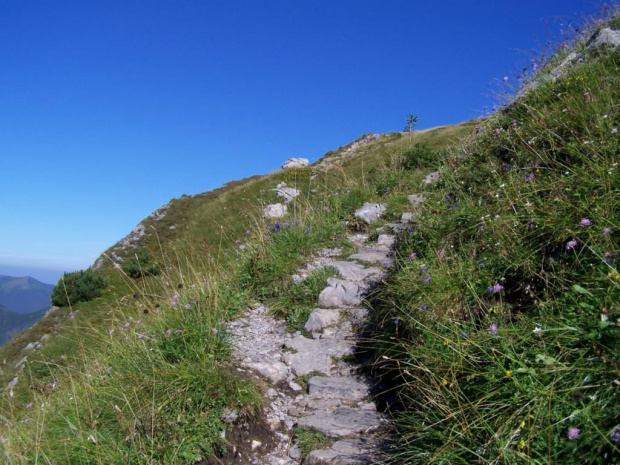 #tatry #SchroniskoOrnak #ChudaPrzełecz