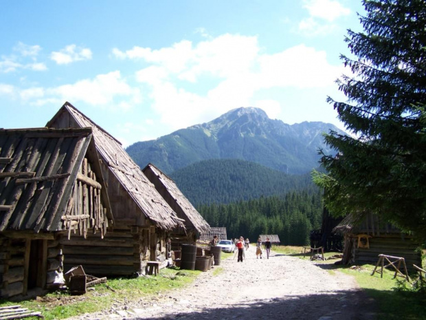 #tatry #DolinaChochołowska