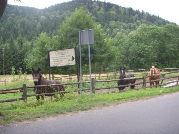 miejscowi przyglądali się nam