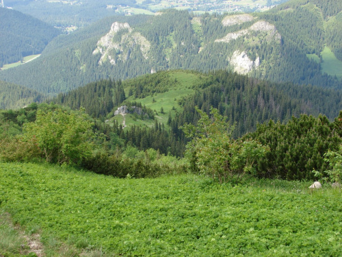 gdzieś na szlaku: dolina kościeliska => ciemniak => czerwone wierchy => kasprowy =>1h spóźnienia na kolejkę wiec z buta do kuźnic