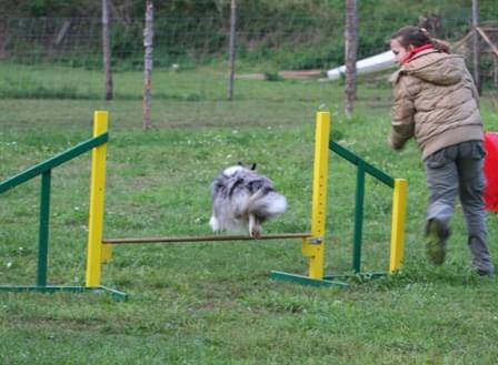 #Snickers_agility