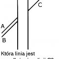 złudzenia