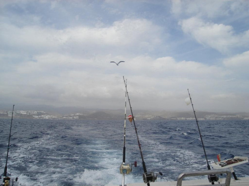 W drodze na rybki:) #chmurki #GranCanaria #Niebo #Ocean #ptaszki #zwierzątka