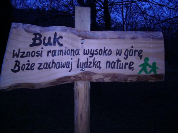 Ciekawe opisy drzew .Park w Rymanów zdrój