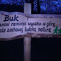 Ciekawe opisy drzew .Park w Rymanów zdrój