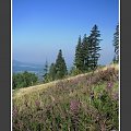 II Zlot BESKIDoczubów => http://beskidtrek.pl/2008/10/03/ii-zlot-beskidoczubow-na-rogaczu