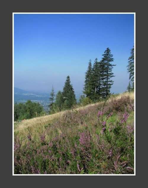 II Zlot BESKIDoczubów => http://beskidtrek.pl/2008/10/03/ii-zlot-beskidoczubow-na-rogaczu