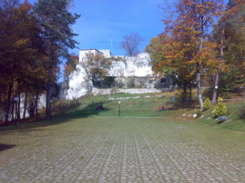 Morsko