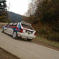 Rajd Żubrów 2008