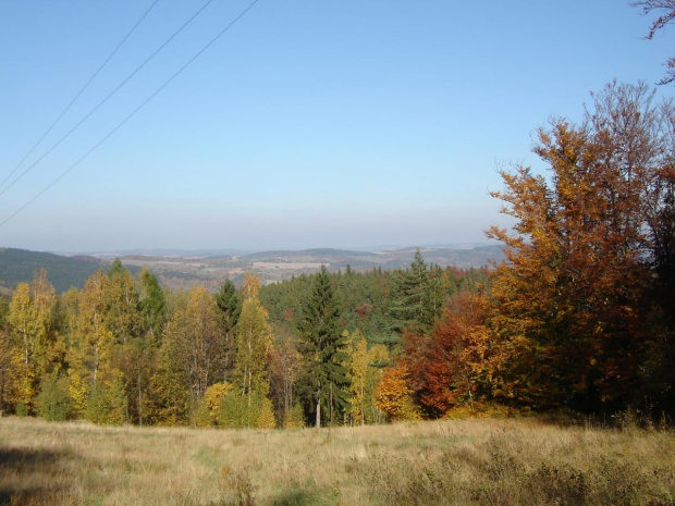 Widok na kotlinę jeleniogórską