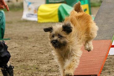 #agility