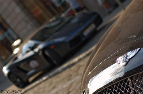 Lamborghini Gallardo Spyder & Bentley Continental GT