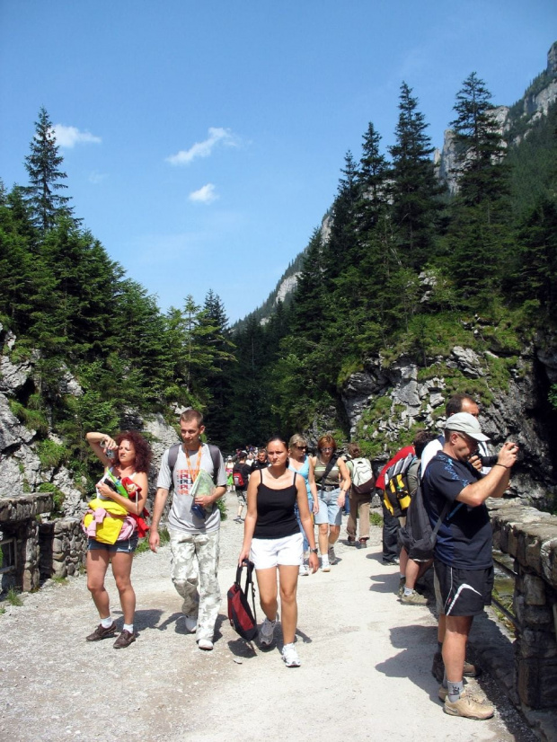 w Dolinie Kościeliskiej #DolinaKościeliska #Tatry #góry #urlop