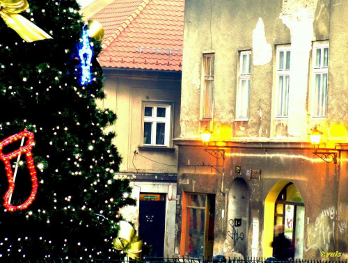 Święta 2008 #Święta #choinka