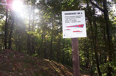 #grobowce #PucharyLejkowate #Sarnowo