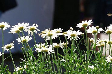 Gdynia po mojemu #fhtflash #flash #gdynia #morze #widoki