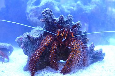 Gdynia akwarium #fhtflash #flash #gdynia #akwarium