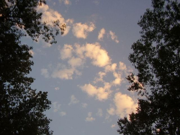 Niebo, chmurki i drzewka #NieboChmury