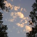 Niebo, chmurki i drzewka #NieboChmury