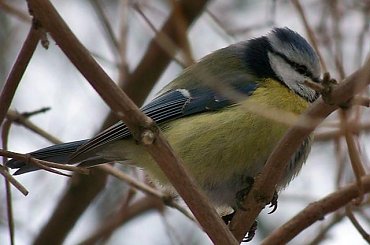 #Warszawa #park #zima