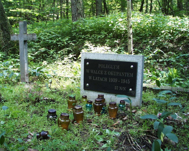 Las Szymanowka/Janikow-
pomnik Ofiar hitlerowskiego mordu