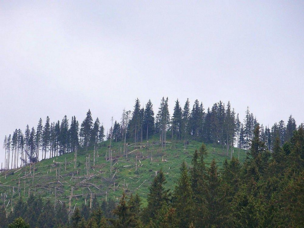 góry #tatry