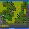 70 distans #tibia