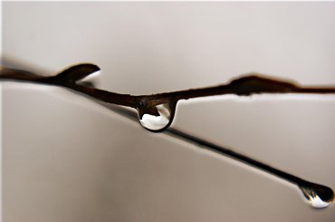 #kropla #woda #makro