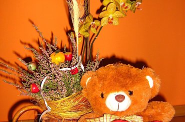 #storczyk #kwiaty #pluszaki #serce