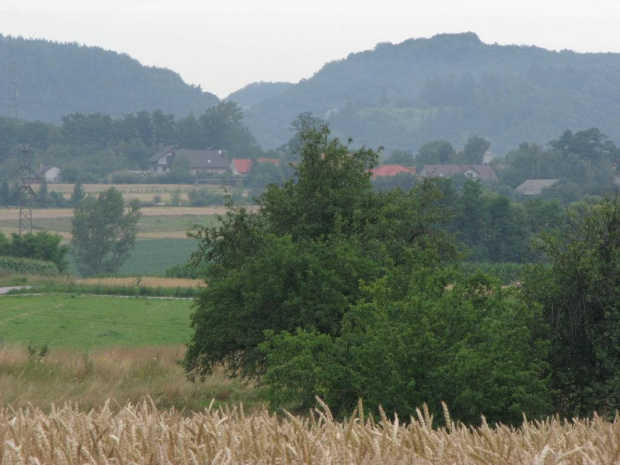 Widok z Niegoszowic na Brzezinkę. W oddali po prawej Góra Żarnowa po środku wejście do Doliny Będkowskiej.