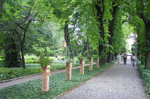 Ogród Botaniczny we Wrocławiu - lato 2007 #Wrocław #przyroda #ogrody