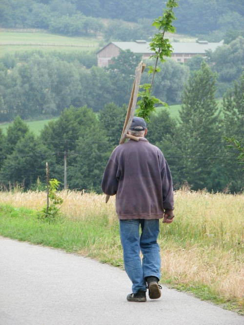 W drodze do Doliny Będkowskiej.