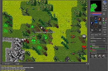 Distans 75 #tibia