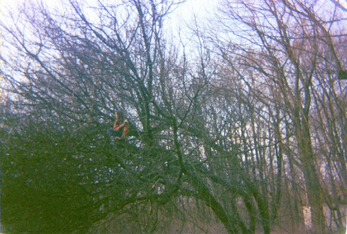 Ja na drzewie xD