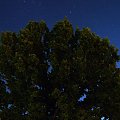 Widok z mojego rodzinnego podwórka. #niebo #noc #drzewo #dąb