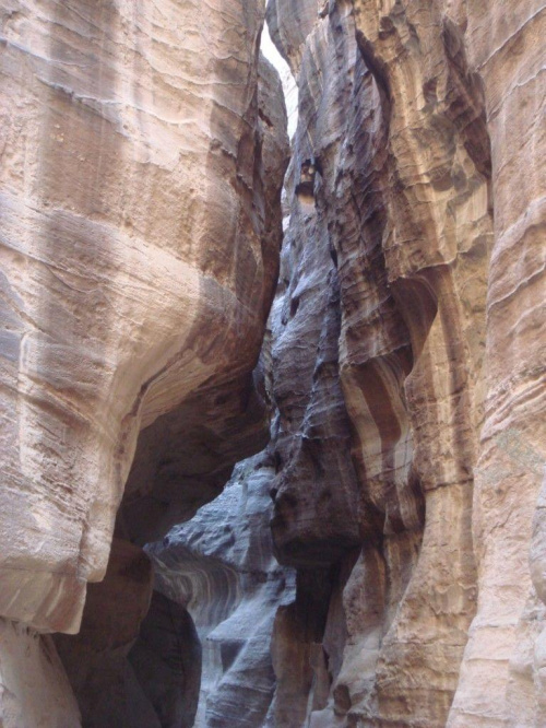 Petra (Jordania)