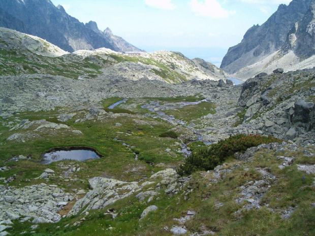 w Dol. Staroleśnej #Tatry