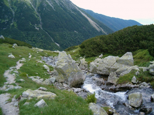 Raczkowy Potok #Tatry