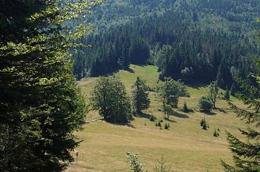 Beskid Żywiecki- Pasmo Jałowieckie. Czerniawa sucha(1062m.n.p.m.), Beskidek(1044),Hala Kamińskiego, Mędralowa(1169) Hala Mędralowa, Jaworzyniec(997). #BeskidŻywiecki #Jałowiec #Mędralowa #HalaKamińskiego #HalaMędralowa #CzerniawaSucha