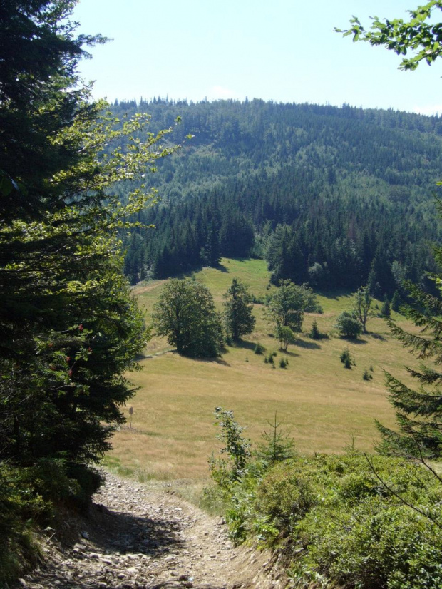 Beskid Żywiecki- Pasmo Jałowieckie. Czerniawa sucha(1062m.n.p.m.), Beskidek(1044),Hala Kamińskiego, Mędralowa(1169) Hala Mędralowa, Jaworzyniec(997). #BeskidŻywiecki #Jałowiec #Mędralowa #HalaKamińskiego #HalaMędralowa #CzerniawaSucha