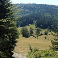 Beskid Żywiecki- Pasmo Jałowieckie. Czerniawa sucha(1062m.n.p.m.), Beskidek(1044),Hala Kamińskiego, Mędralowa(1169) Hala Mędralowa, Jaworzyniec(997). #BeskidŻywiecki #Jałowiec #Mędralowa #HalaKamińskiego #HalaMędralowa #CzerniawaSucha