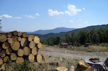 Beskid Żywiecki- Pasmo Jałowieckie. Czerniawa sucha(1062m.n.p.m.), Beskidek(1044),Hala Kamińskiego, Mędralowa(1169) Hala Mędralowa, Jaworzyniec(997). #BeskidŻywiecki #Jałowiec #Mędralowa #HalaKamińskiego #HalaMędralowa #CzerniawaSucha