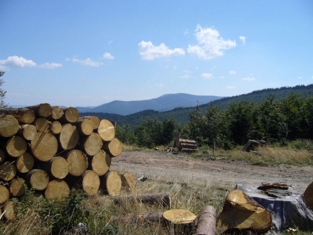 Beskid Żywiecki- Pasmo Jałowieckie. Czerniawa sucha(1062m.n.p.m.), Beskidek(1044),Hala Kamińskiego, Mędralowa(1169) Hala Mędralowa, Jaworzyniec(997). #BeskidŻywiecki #Jałowiec #Mędralowa #HalaKamińskiego #HalaMędralowa #CzerniawaSucha