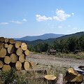 Beskid Żywiecki- Pasmo Jałowieckie. Czerniawa sucha(1062m.n.p.m.), Beskidek(1044),Hala Kamińskiego, Mędralowa(1169) Hala Mędralowa, Jaworzyniec(997). #BeskidŻywiecki #Jałowiec #Mędralowa #HalaKamińskiego #HalaMędralowa #CzerniawaSucha