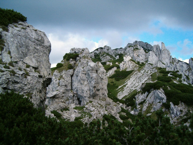 przy szlaku na Siwy Wierch #Tatry