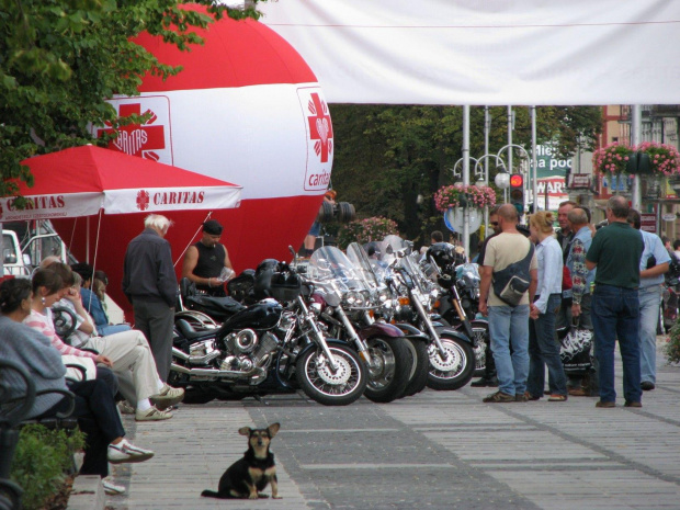 Grupa motocyklistów prezentuje swoje maszyny. Wieczorem robili coś jeszcze, o tym dalej.