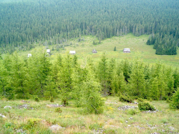 Polana Kopieniec #Tatry